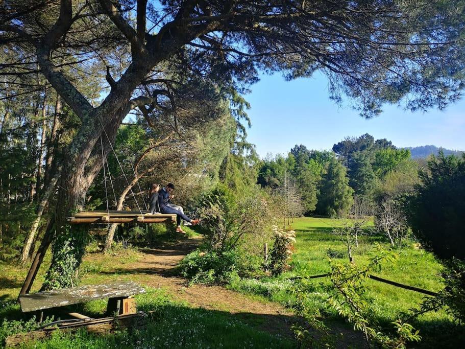 Pine Lodge - Direct Train To Porto Valongo  Exterior foto