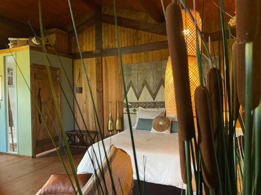 Pine Lodge - Direct Train To Porto Valongo  Exterior foto