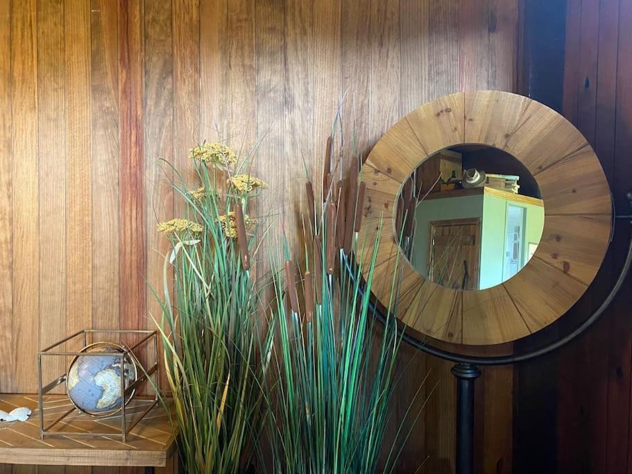 Pine Lodge - Direct Train To Porto Valongo  Exterior foto