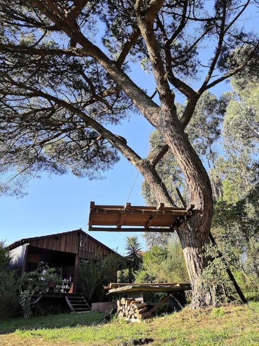 Pine Lodge - Direct Train To Porto Valongo  Exterior foto